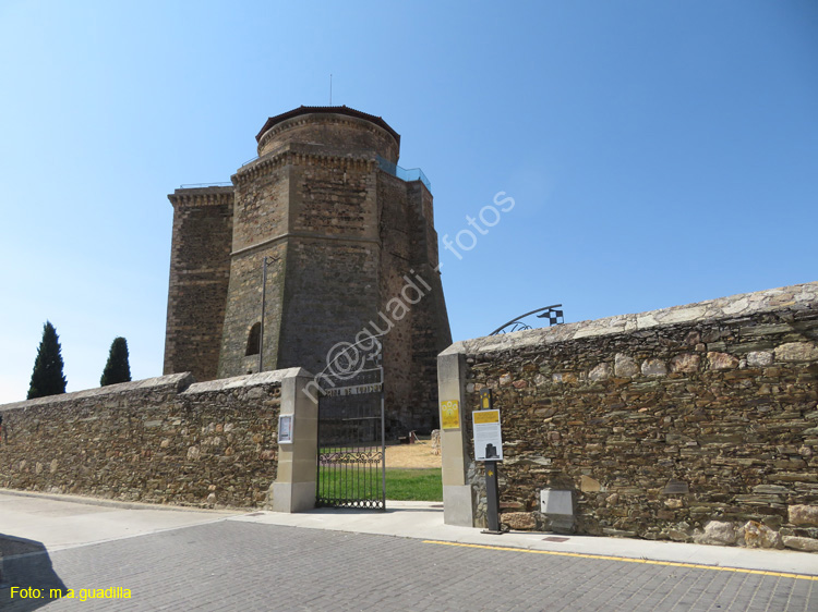 ALBA DE TORMES (208) Castillo Duques de Alba