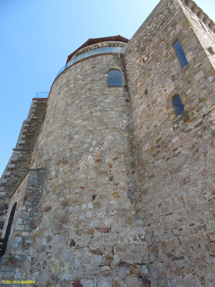 ALBA DE TORMES (217) Castillo Duques de Alba