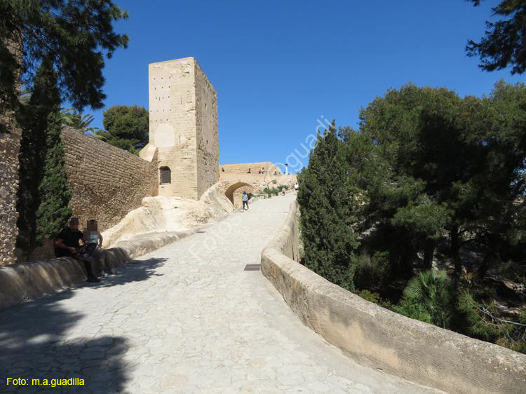 ALICANTE (117) Castillo de Santa Barbara
