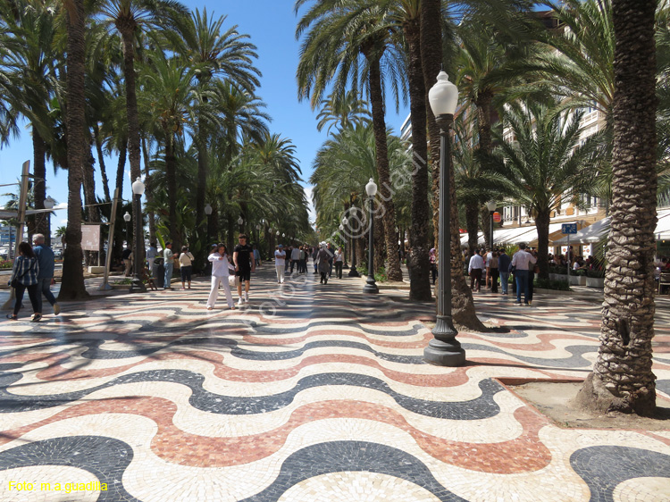 ALICANTE (140) Paseo Explanada de España