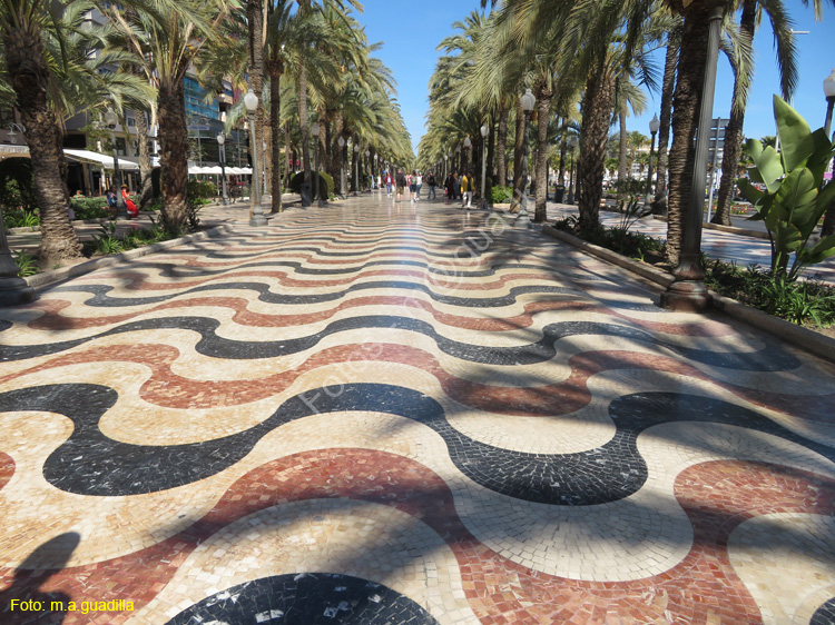ALICANTE (142) Paseo Explanada de España