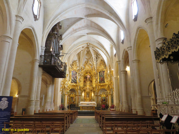 ALICANTE (158) Basilica de Santa Maria