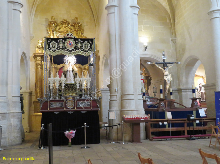 ALICANTE (162) Basilica de Santa Maria