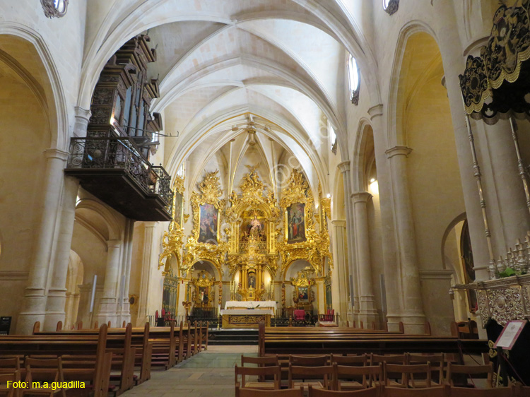 ALICANTE (178) Basilica de Santa Maria