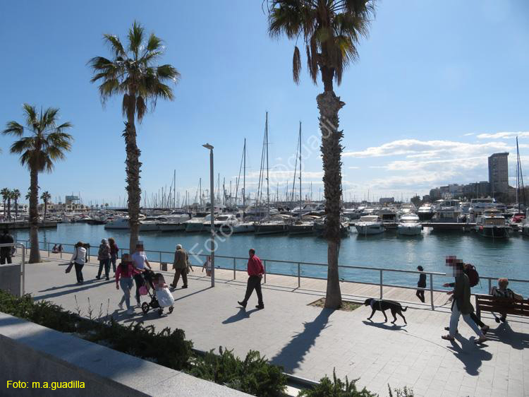 ALICANTE (234) Marina Deportiva del Puerto