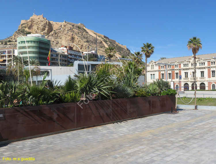 ALICANTE (235) Marina Deportiva del Puerto