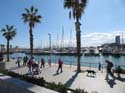 ALICANTE (234) Marina Deportiva del Puerto