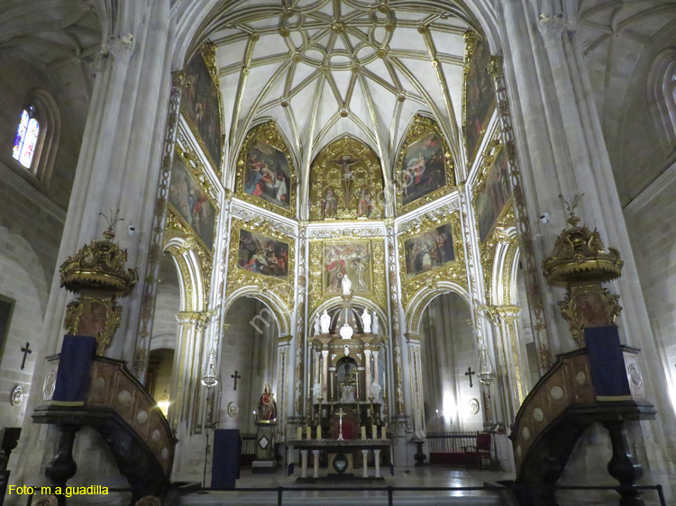 ALMERIA (132) Catedral de la Encarnacion