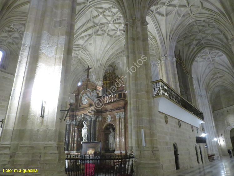 ALMERIA (161) Catedral de la Encarnacion