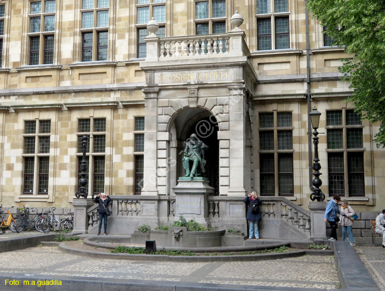 AMBERES (150) Biblioteca