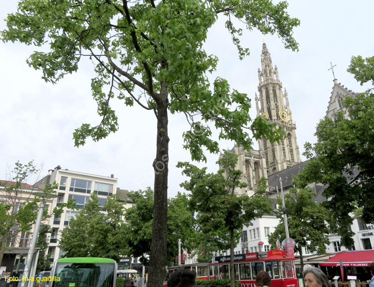AMBERES (157) Groenplaats