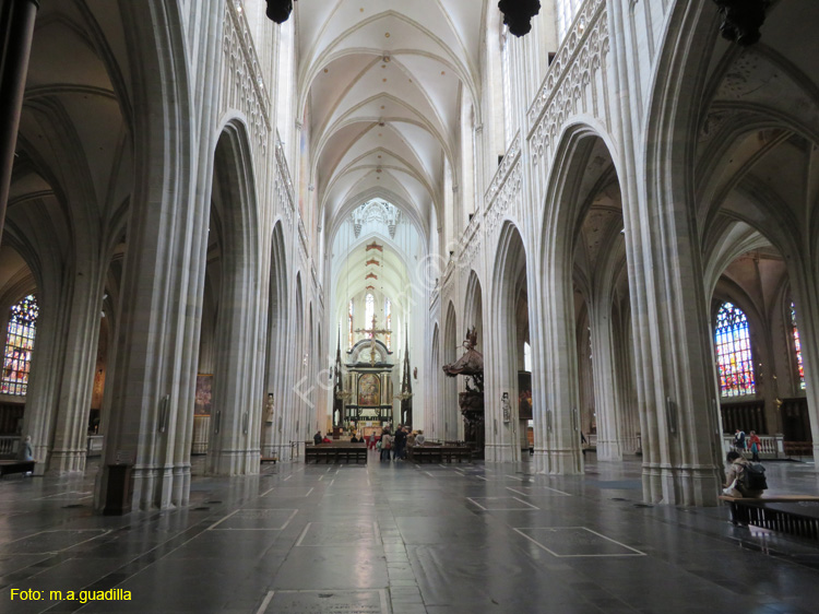 AMBERES (175) Catedral