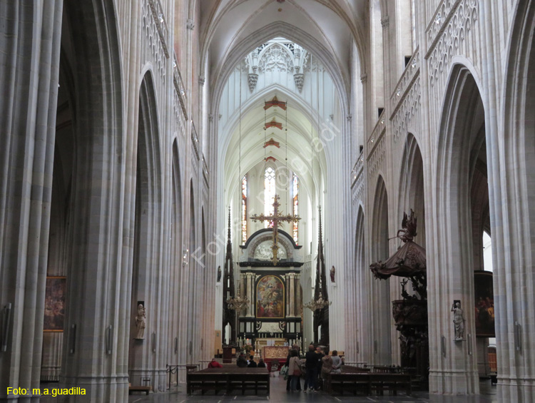 AMBERES (176) Catedral