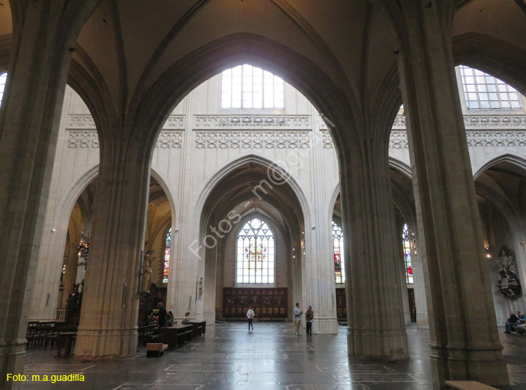 AMBERES (183) Catedral