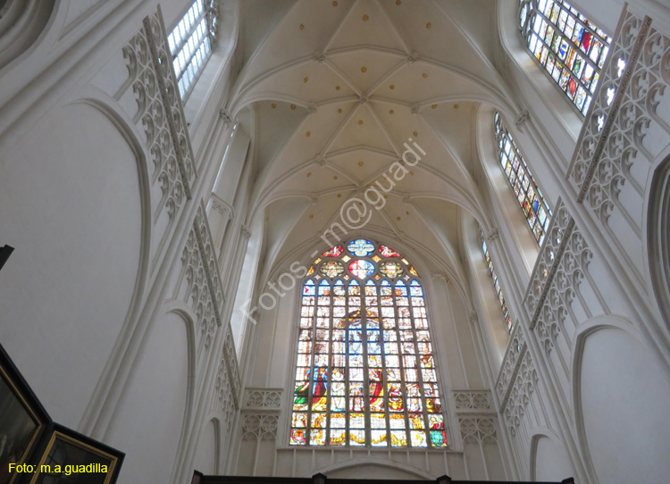 AMBERES (193) Catedral