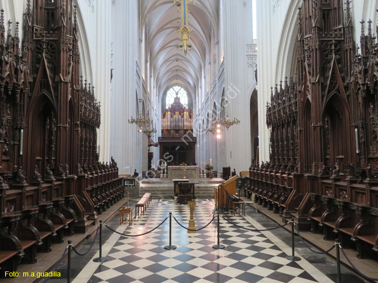 AMBERES (209) Catedral