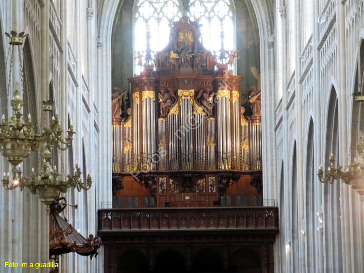 AMBERES (210) Catedral