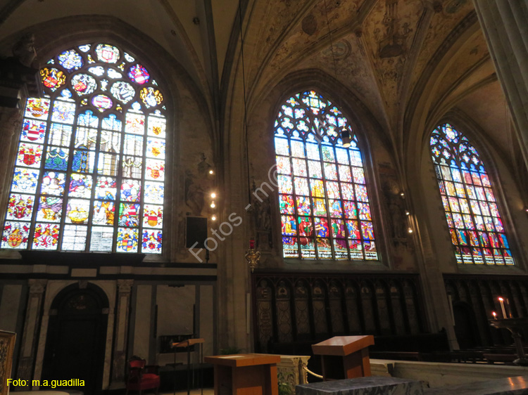 AMBERES (237) Catedral