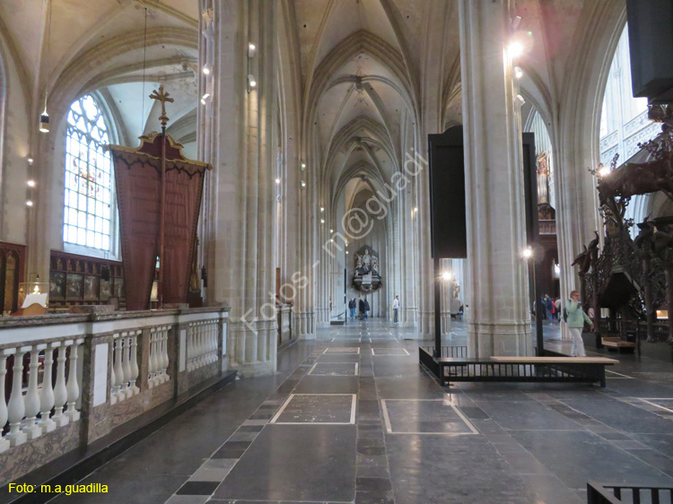 AMBERES (240) Catedral