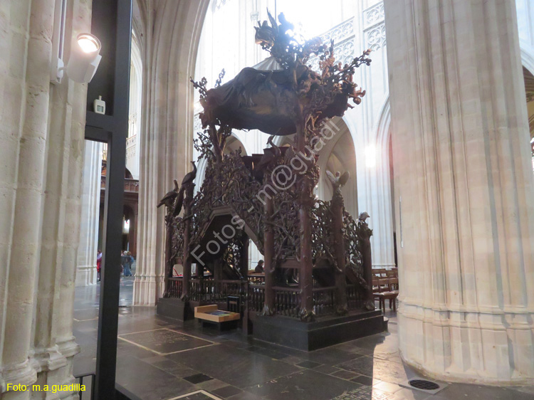 AMBERES (244) Catedral