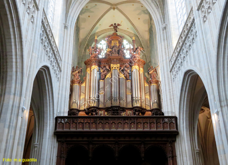 AMBERES (251) Catedral