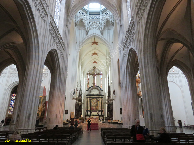 AMBERES (253) Catedral