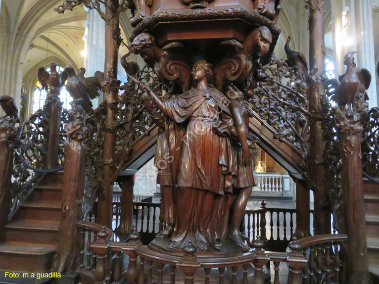 AMBERES (254) Catedral