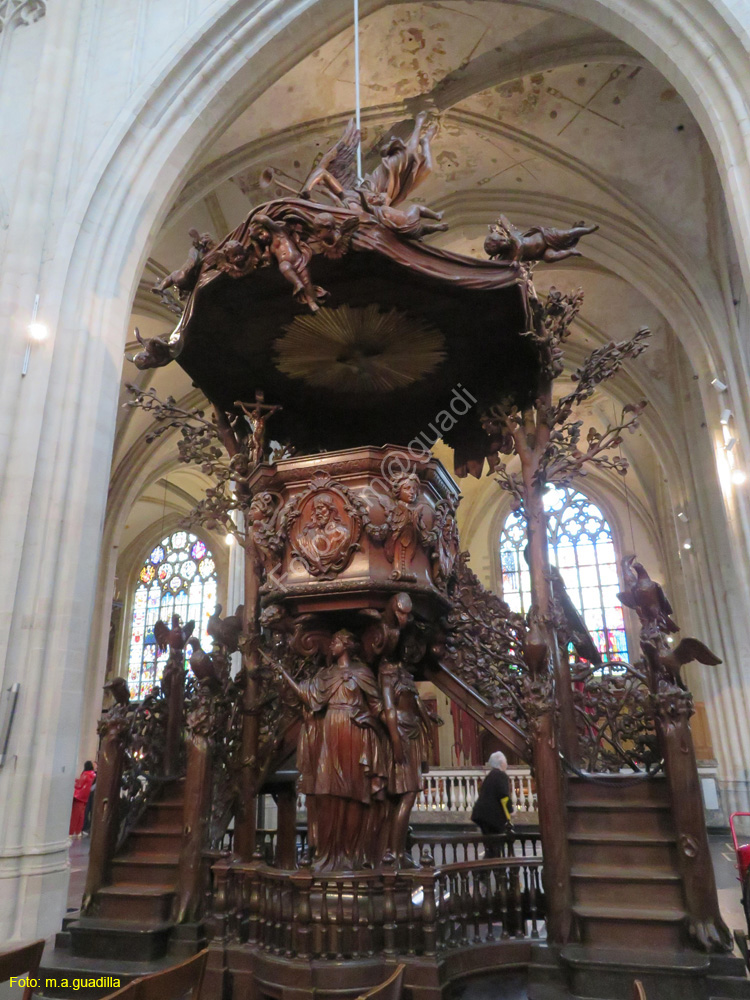 AMBERES (256) Catedral