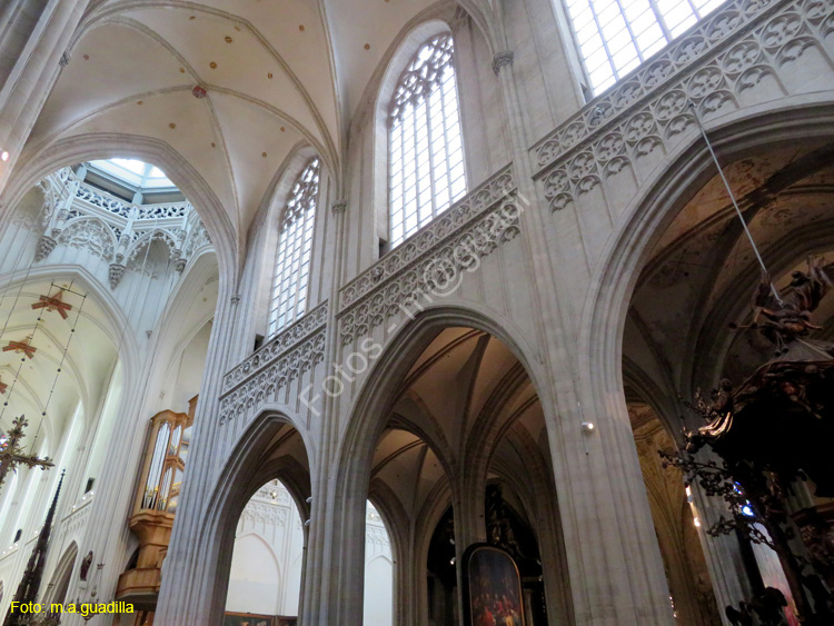 AMBERES (257) Catedral