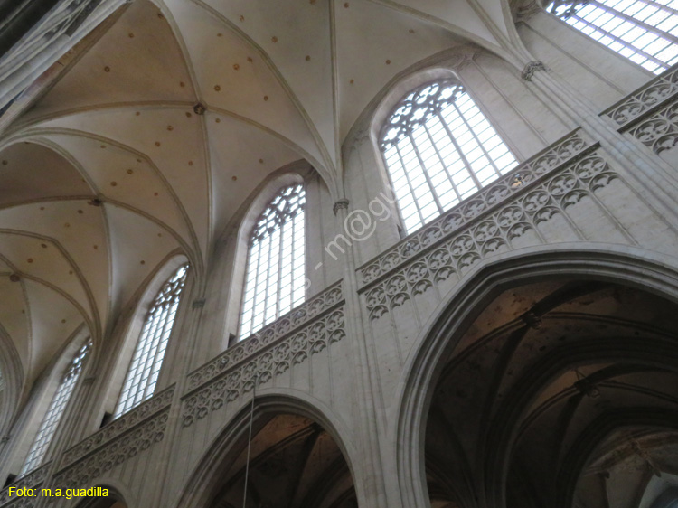 AMBERES (258) Catedral
