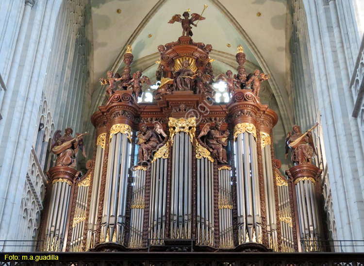 AMBERES (259) Catedral