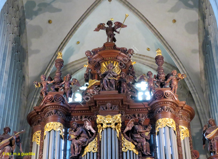 AMBERES (260) Catedral