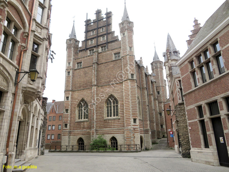 AMBERES (283) Museum Vleeshuis
