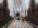 AMBERES (209) Catedral