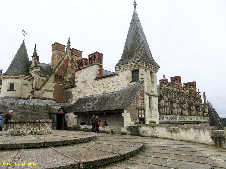 AMBOISE (126) Castillo Real
