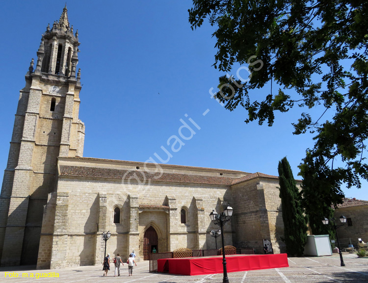 AMPUDIA (122) Colegiata de San Miguel