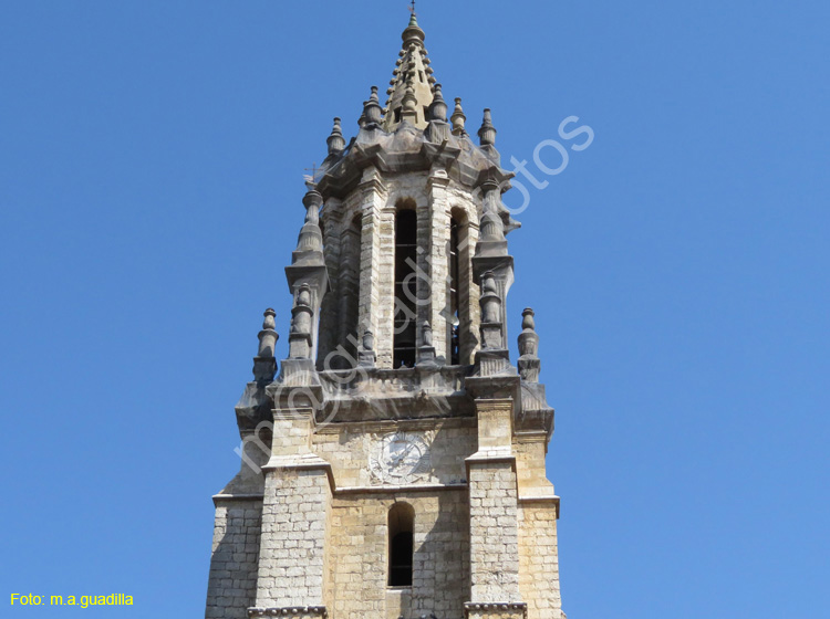 AMPUDIA (123) Colegiata de San Miguel