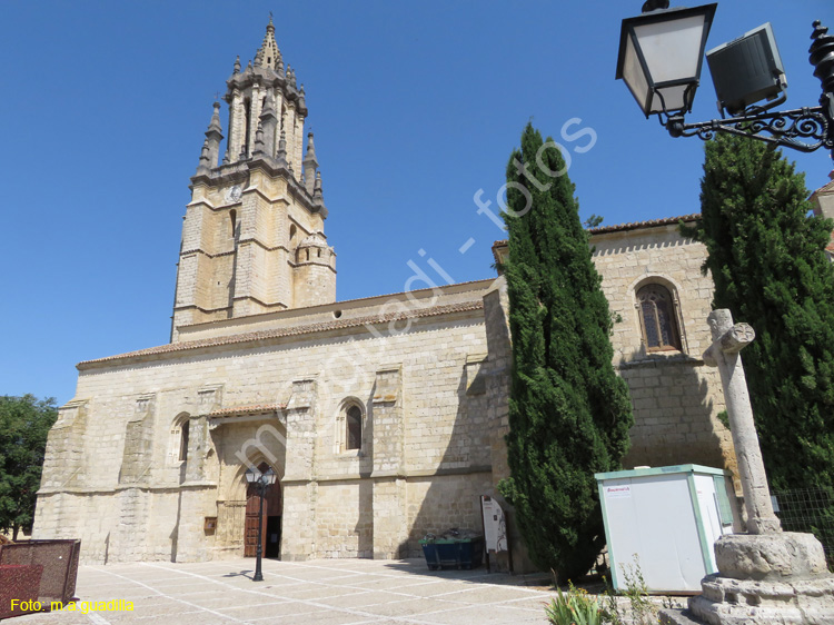 AMPUDIA (180) Colegiata de San Miguel