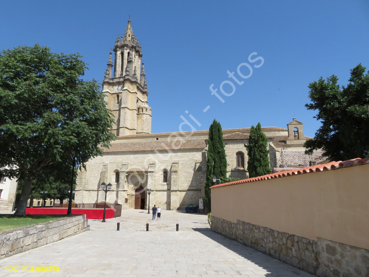 AMPUDIA (181) Colegiata de San Miguel