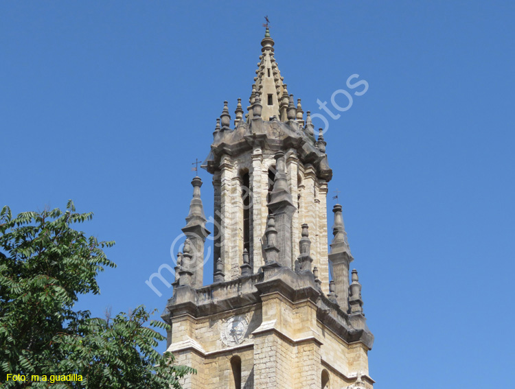 AMPUDIA (182) Colegiata de San Miguel