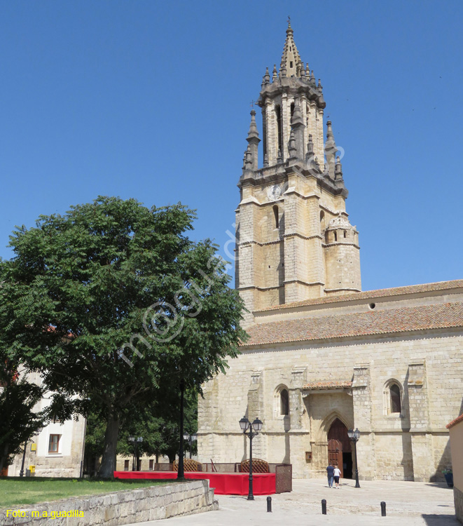 AMPUDIA (183) Colegiata de San Miguel