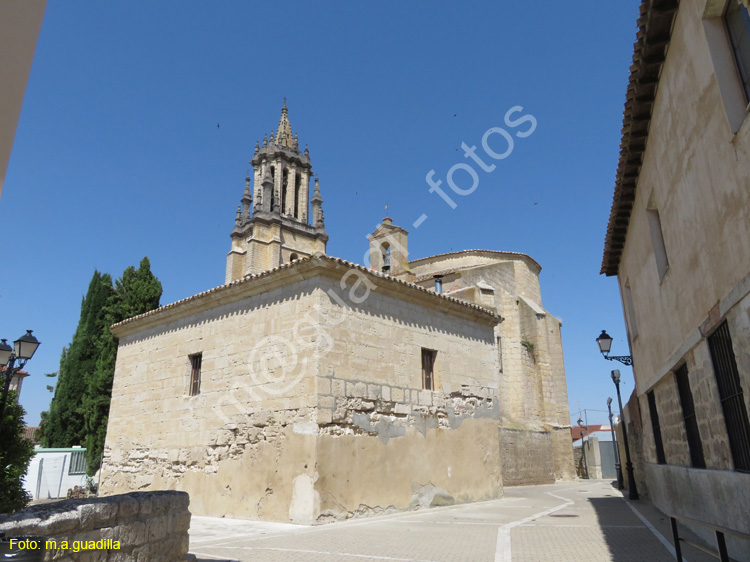 AMPUDIA (189) Colegiata de San Miguel