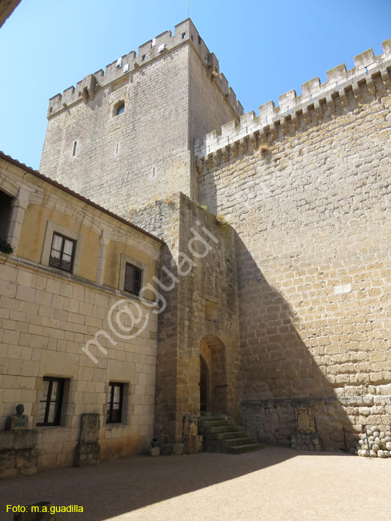 AMPUDIA (217) Castillo