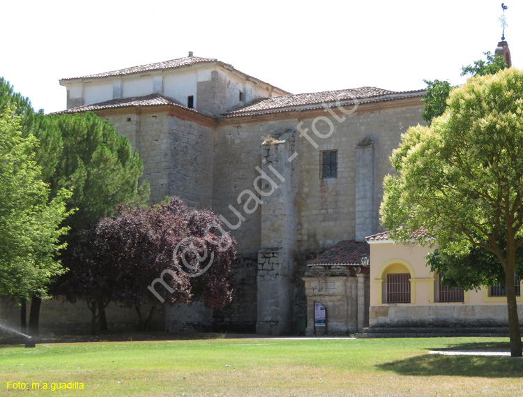 AMPUDIA (238) Santuario de Ntra Sra de Alconada