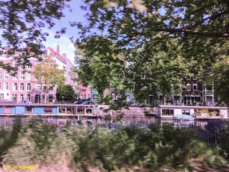 AMSTERDAM (344)