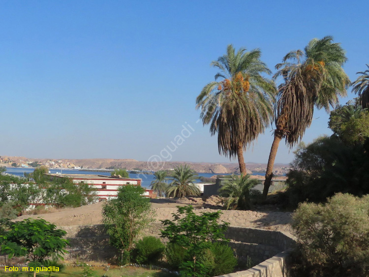 ASWAN (154)