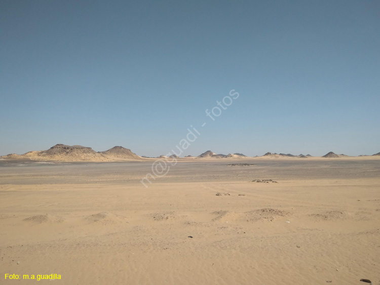 ASWAN (169)
