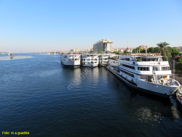 ASWAN (189) Rio Nilo