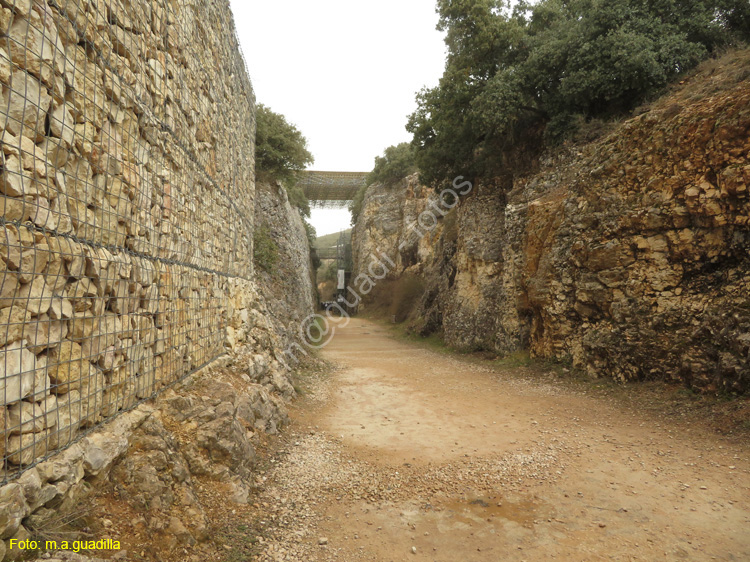 ATAPUERCA (101)