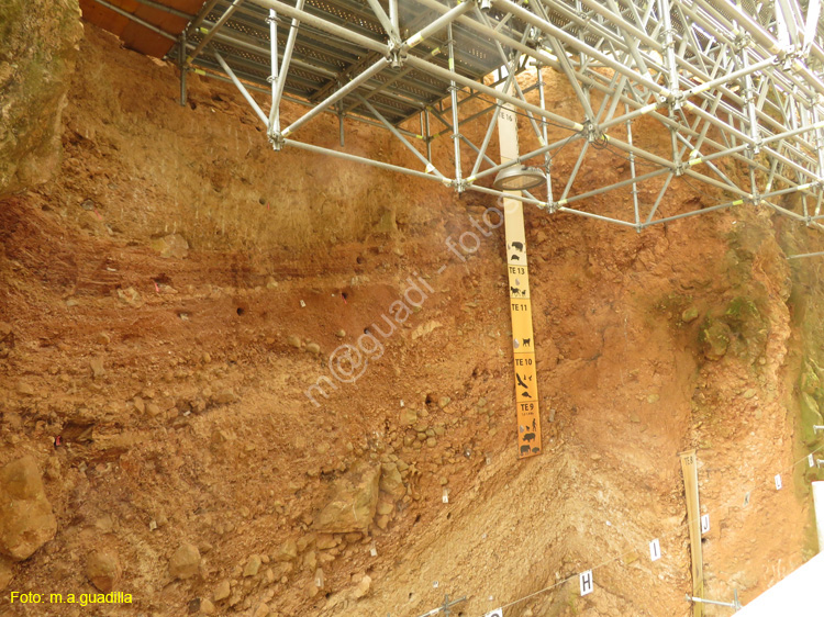 ATAPUERCA (110)